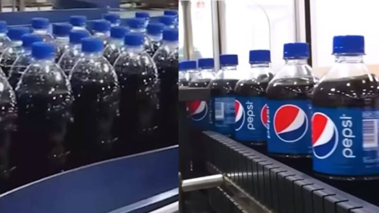 Spotted American PepsiCo Logo On ‘Pepsi’, Lays? But Here’s A Twist — Link With Marwari Businessman | Viral News