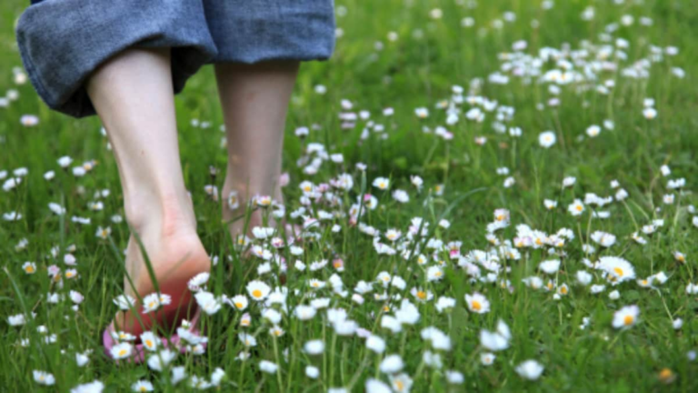 What Is Slow Living? The Trending Lifestyle That Brings Balance Back | Lifestyle News