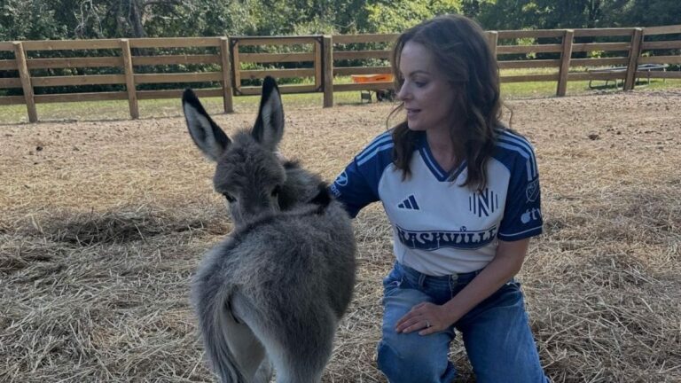 Brad Paisley Shares Hilarious Birthday Post For Wife Kimberly Williams | Hollywood News